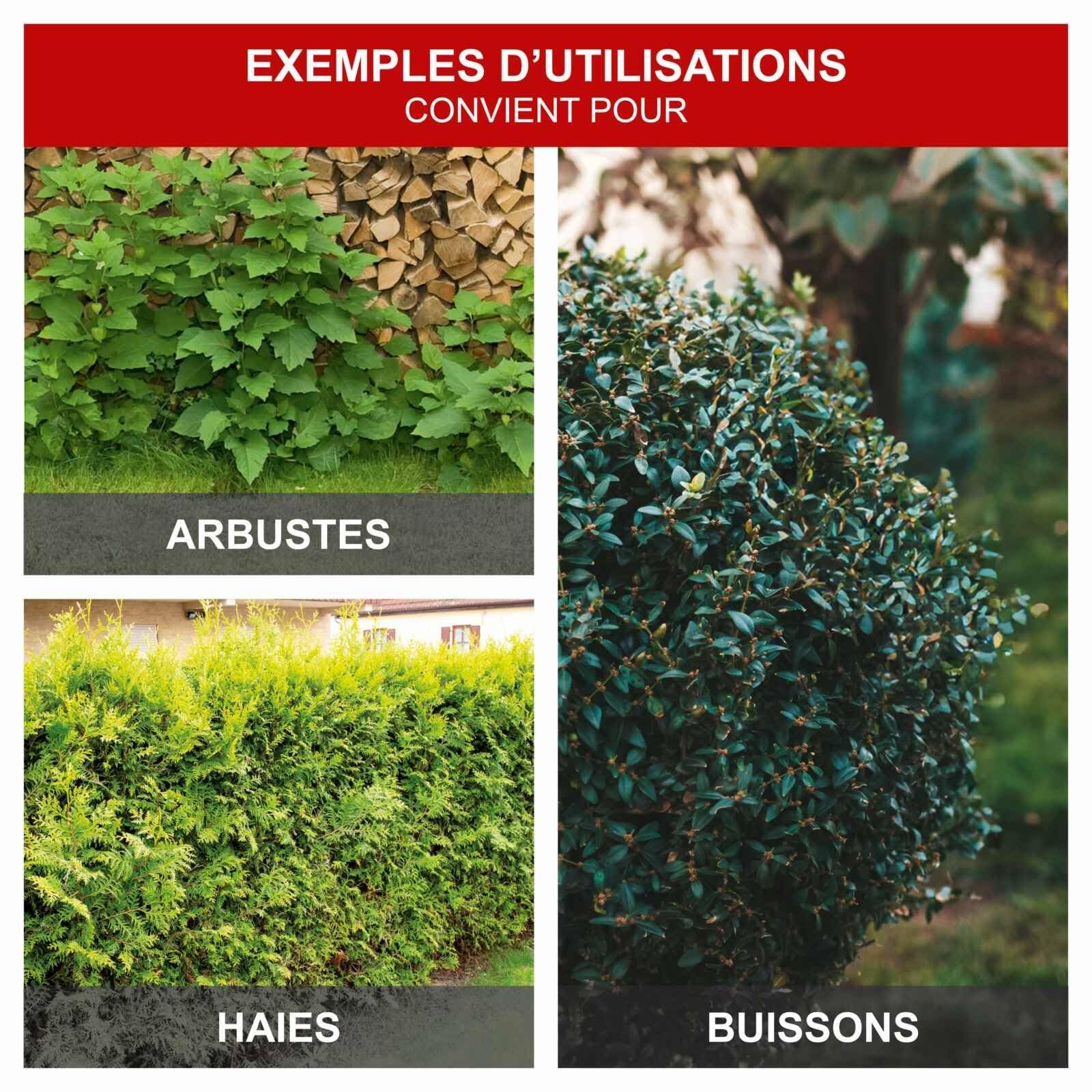 Image secondaire de Taille-haies électrique SCHEPPACH EHT610 - 61 cm - 600W