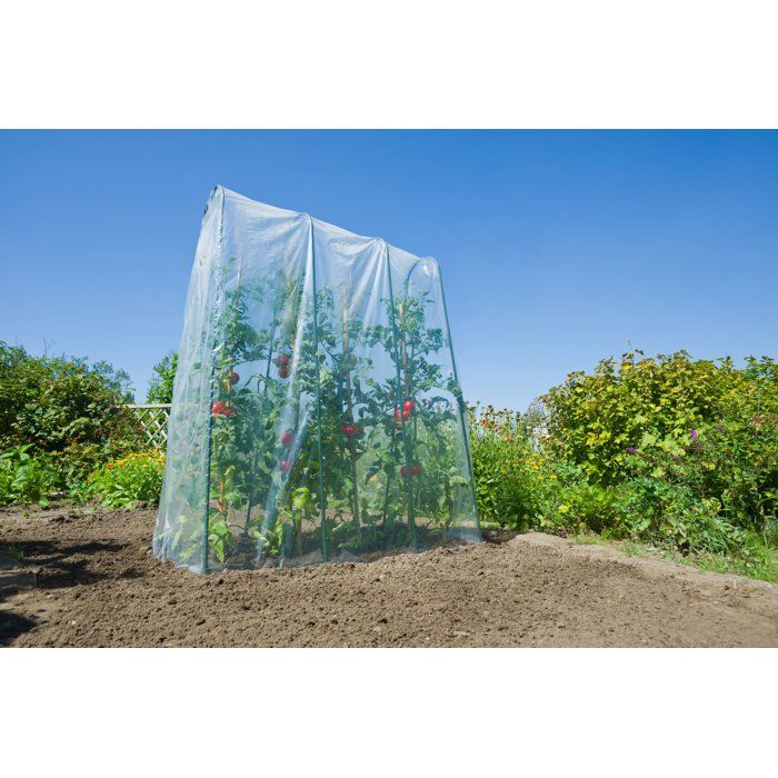 Image secondaire de Film de Croissance Transparent NATURE 4x3,5m - Épaisseur 70µ