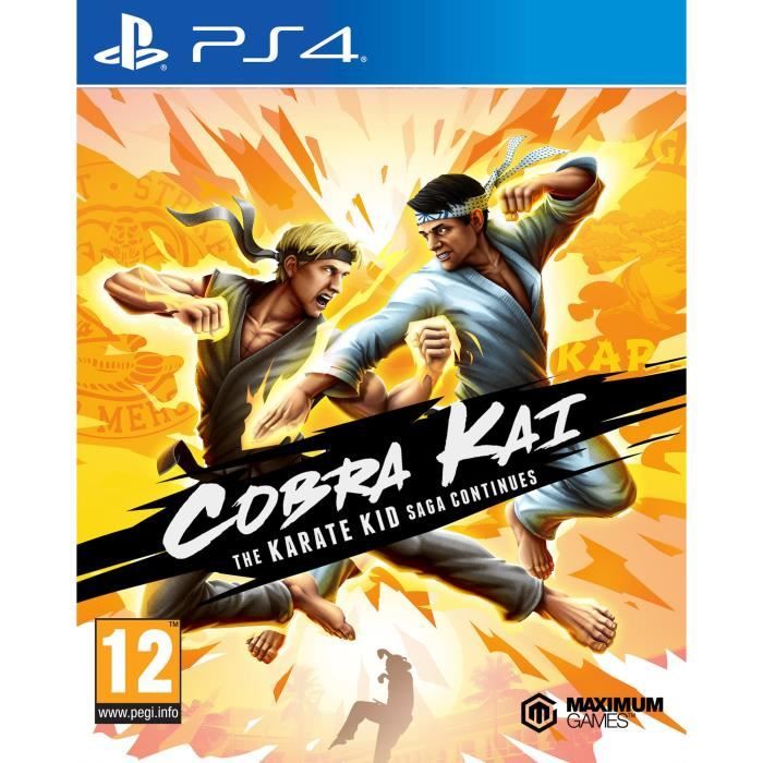 Cobra Kai : The Karate Kid Continues Jeu PS4