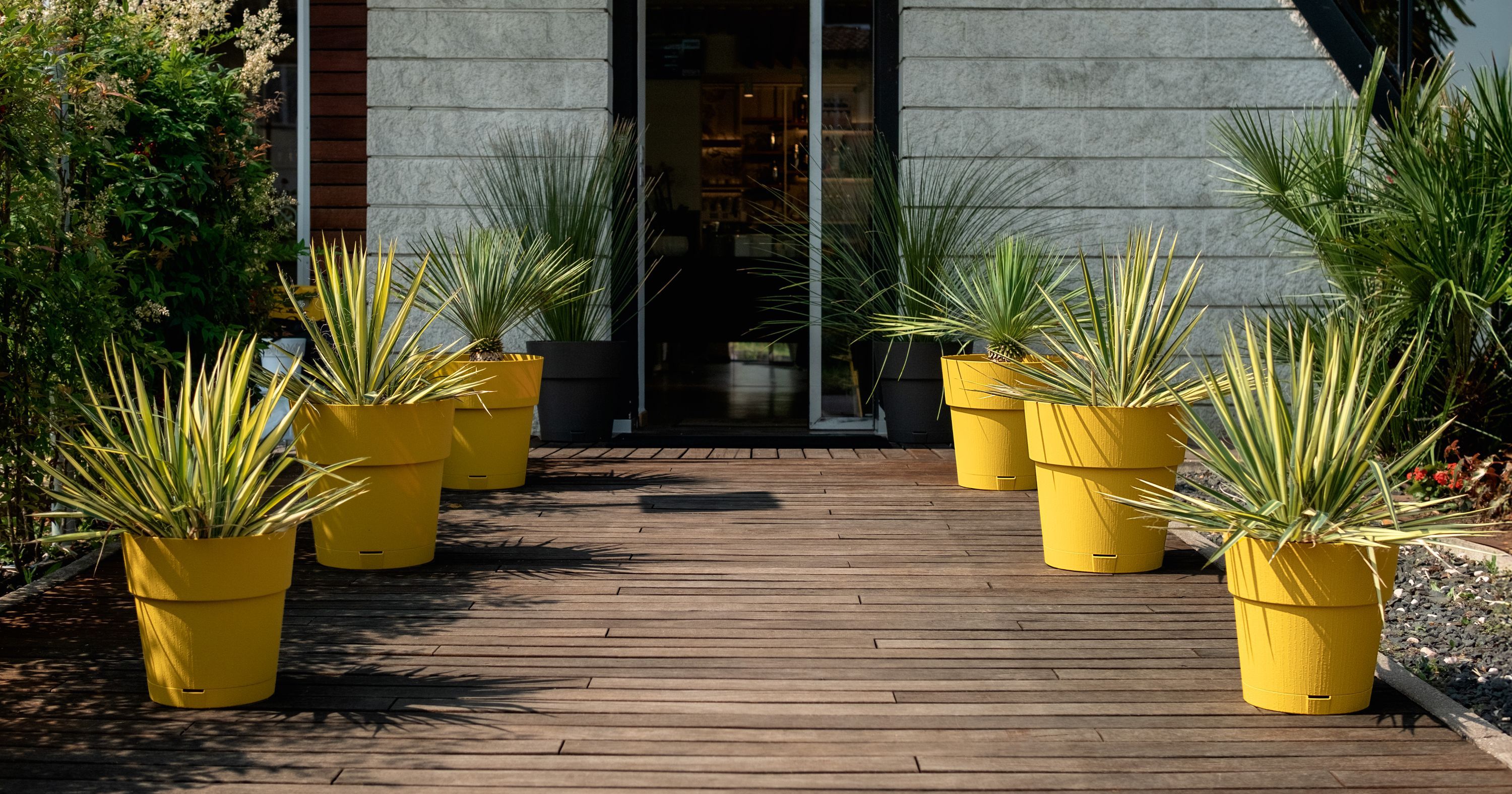 Image secondaire de Pot de Fleur Ethica Moutarde 2L - Design Moderne avec Réserve d'Eau