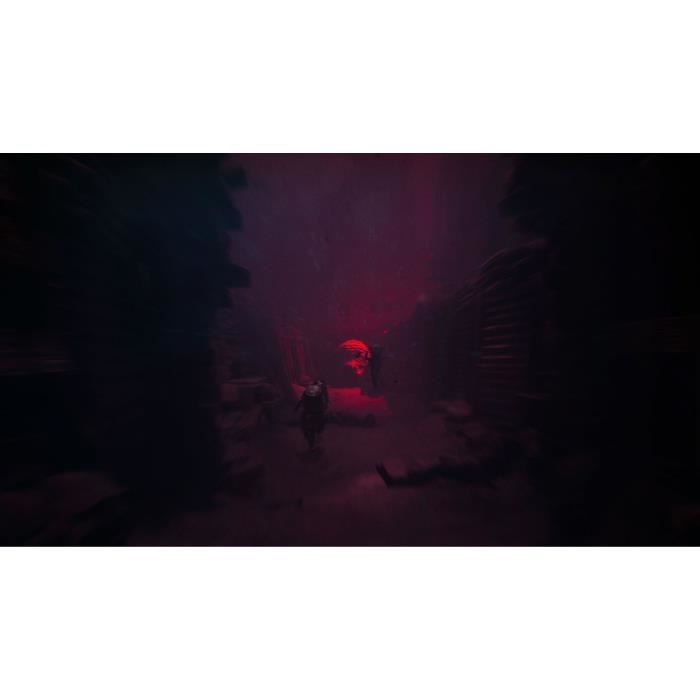 Image secondaire de Reanimal - Jeu d'Horreur Coopératif sur PS5