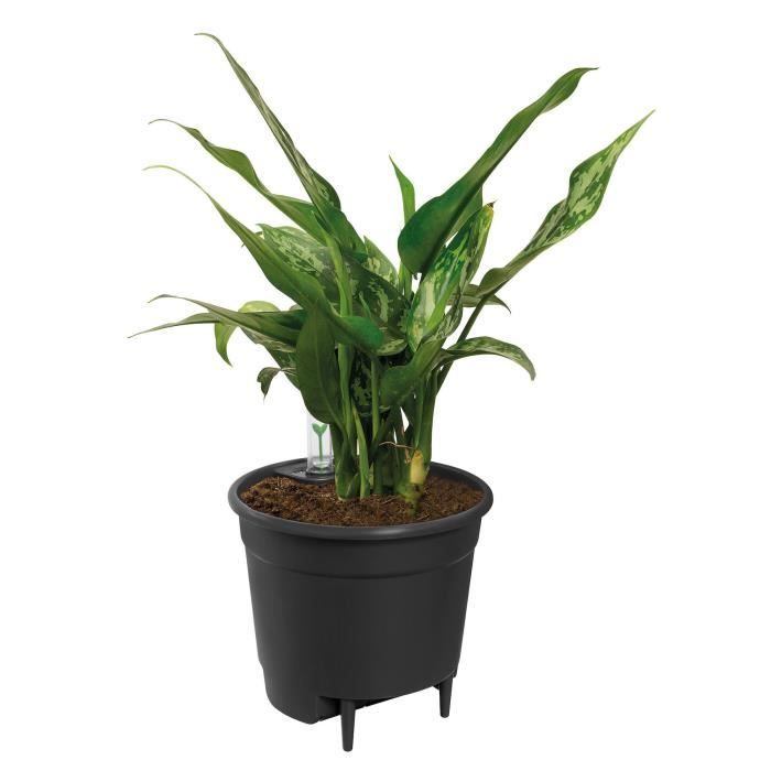 Elho Vaso da fiori con inserto autoirrigante 33 - Nero - Ø 33 x H 31 cm - Accessori interni - 100% riciclato