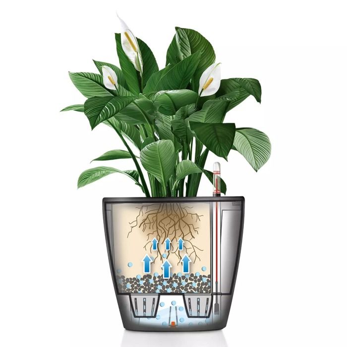 Image secondaire de Jardiniere - LECHUZA - Classico 35 LS ALL-IN-ONE - Blanc brillant - Systeme d'irrigation - 13 L