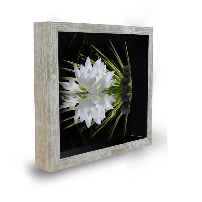 ARTESANIA Tableau déco cadre vitrine 20x20 - Lotus zen