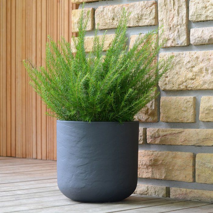 Image secondaire de Pot de Fleurs Rond Volcania Up - 32,5 L - Gris Anthracite