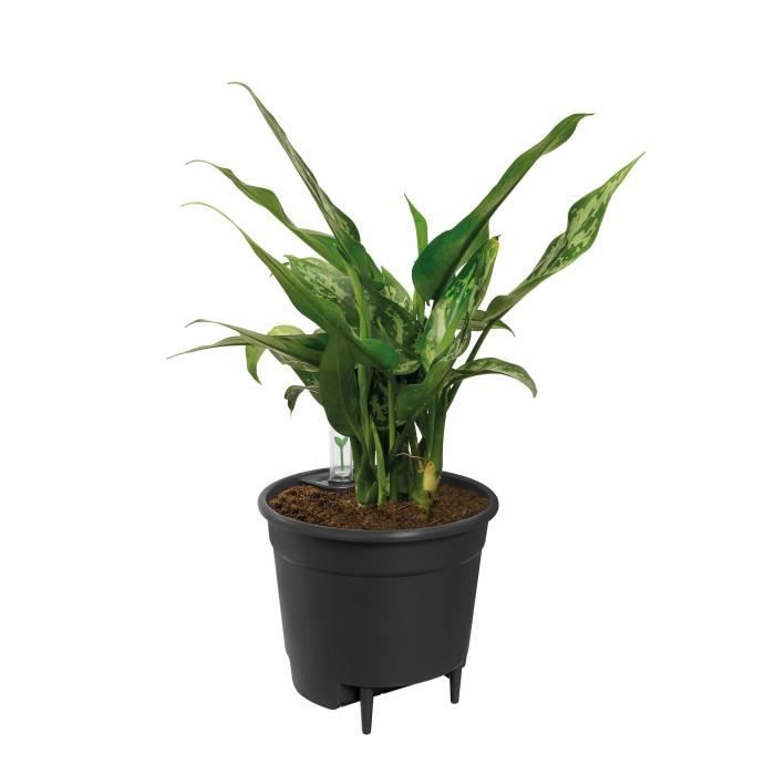 Elho Inserto autoirrigante Vaso da fiori 44 - Nero - Ø 43 x H 39 cm - Accessori interni - 100% riciclato