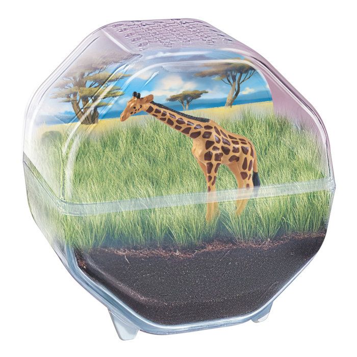 Image secondaire de Mini Terrarium Girafe - Créez votre monde végétal