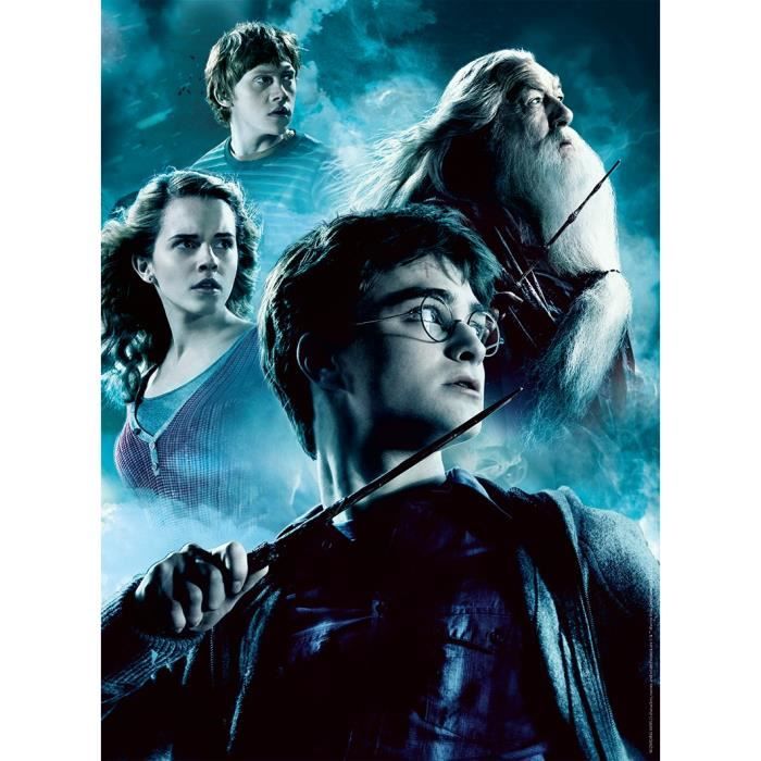 Puzzle 2x500 pieces - Harry Potter et le Prince de Sang Melé - Puzzle adultes Ravensburger - Des 10 ans - 17265