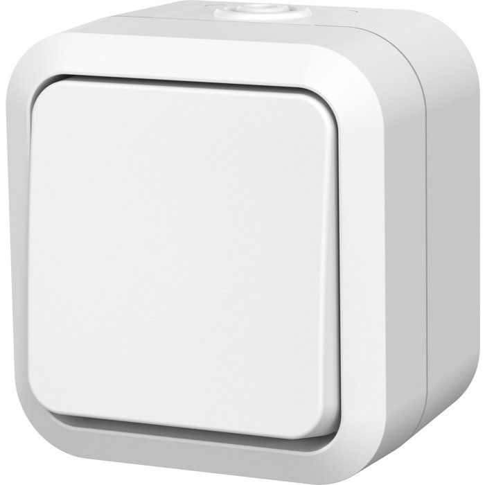 Image secondaire de Interrupteur Étanche Aqua Pro IP55 - QUARX - 250V 10AX