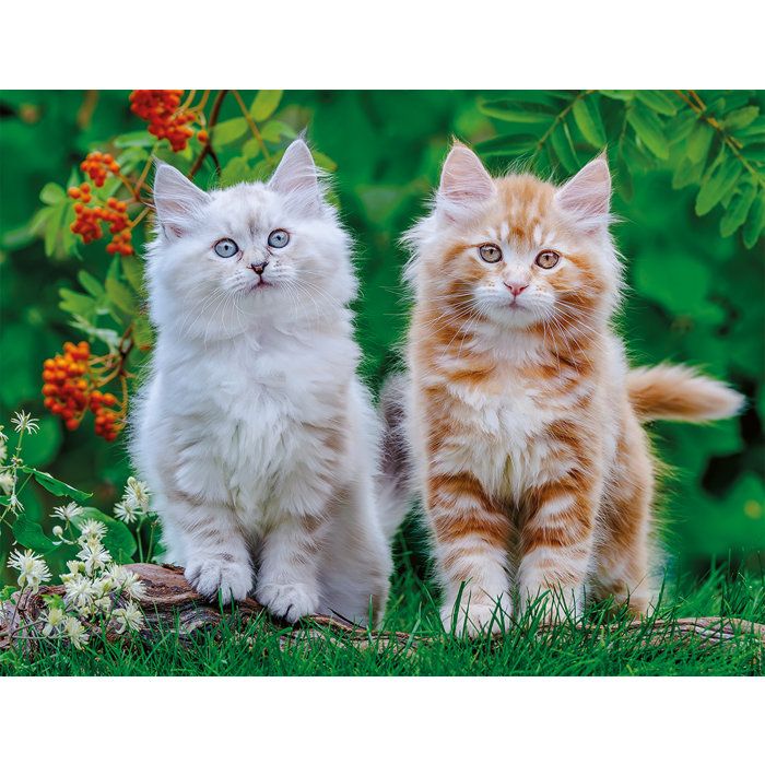 Image secondaire de Puzzle 2000 pièces Chatons Sibériens - Collection Tendresse