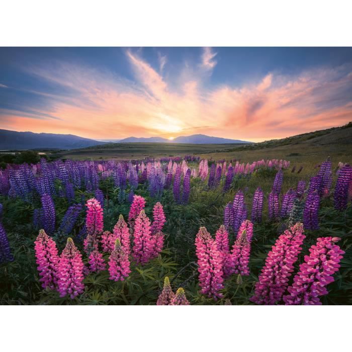 Puzzle 500 pieces Lupins (Nature edition), Ages 12 and up, High quality puzzle, 12000688, Ravensburger