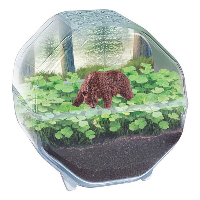 Image secondaire de Mini Terrarium Ours - Créez Votre Monde Végétal