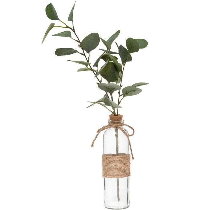 Vase + Eucalyptus + Corde - H45 cm