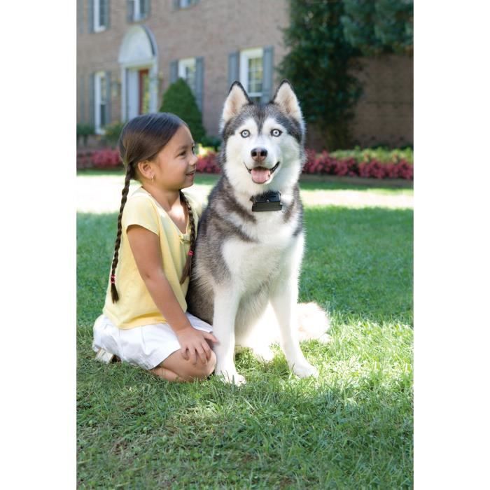 PetSafe - Systeme de Clôture Anti-Fugue pour Chien avec Fil + Rallonge Supplémentaire pour Clôture Anti-Fugue