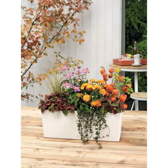 Image secondaire de LECHUZA Jardiniere - Balconera Color 50 All-in-one - 50 x 19 x 19 cm - Blanc 15670