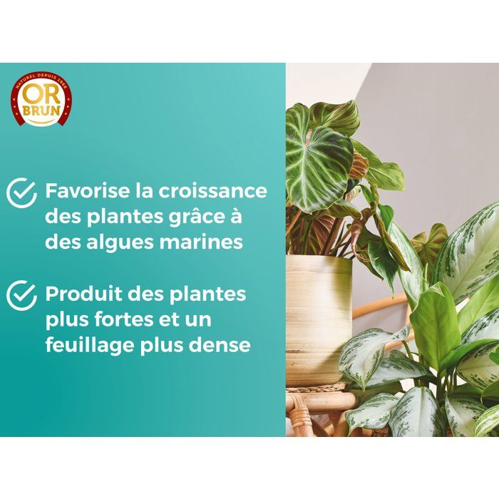 Image secondaire de Engrais pour Plantes Vertes - OR BRUN - 250 ml - Croissance Optimale