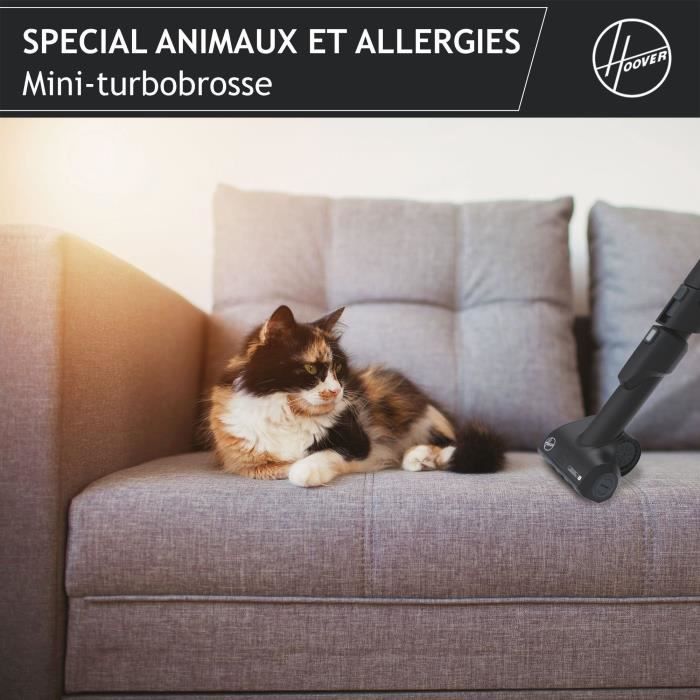 HOOVER HE530ALG Aspirateur traîneau avec sac, Puissant 850 W, Silencieux 69db, Grande Capacité 3,5L Special Allergie & Poils Animaux