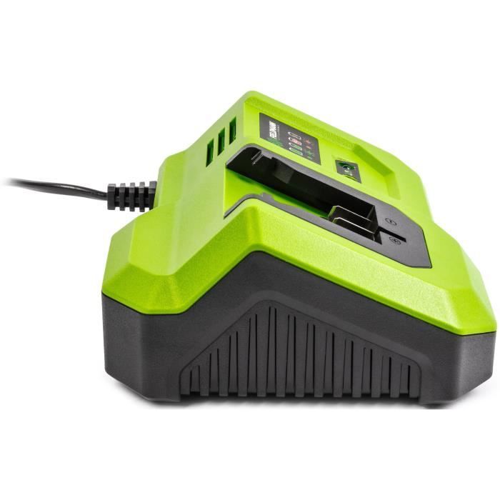 Caricabatterie rapido - FIELDMANN - Per batteria da 20 V - Carica 2 Ah in 30 min - Compatibile con 2 Ah, 4 Ah, 8 Ah