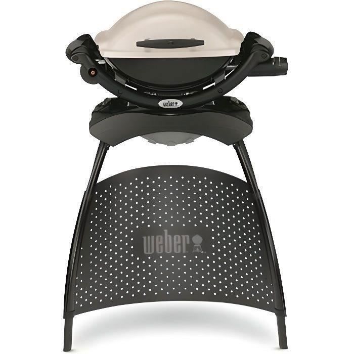 WEBER Barbecue gaz Q 1000 Stand Gas Grill
