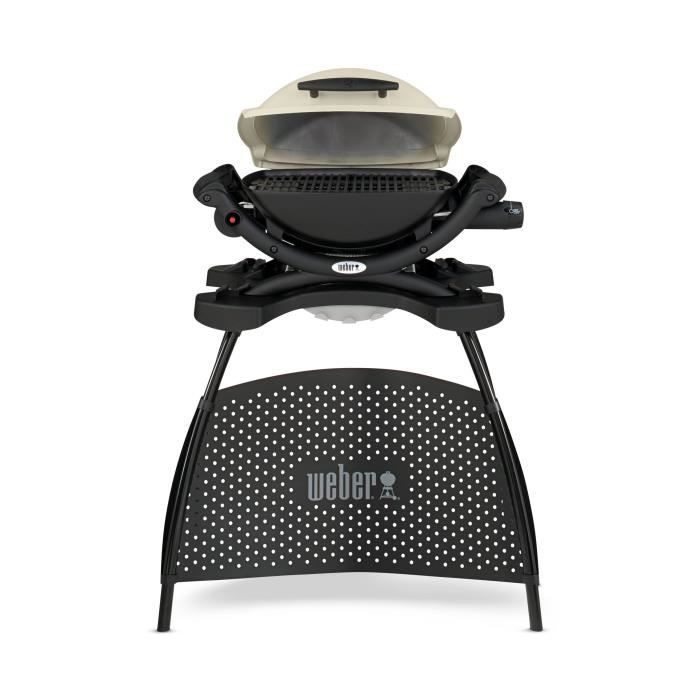 WEBER Barbecue gaz Q 1000 Stand Gas Grill