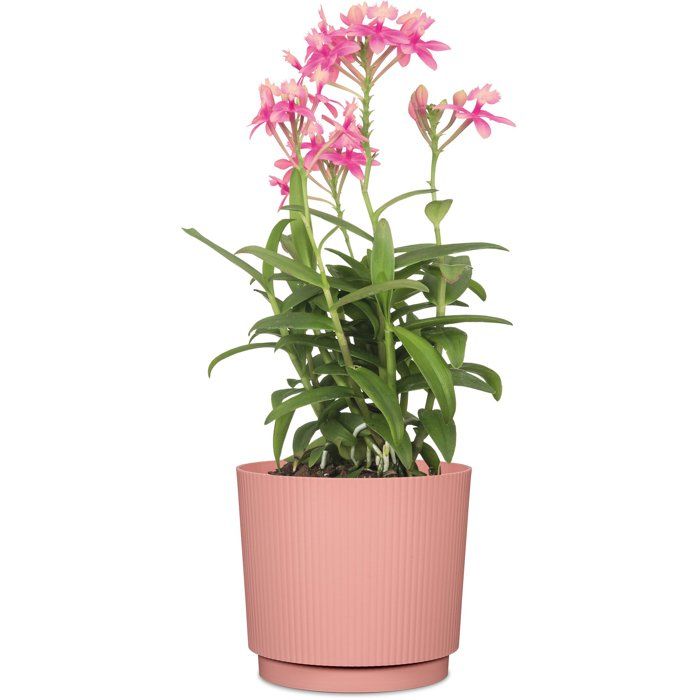 Image secondaire de Cache-pot rond élégant en rose - GARDEN ID - Ø 25 cm