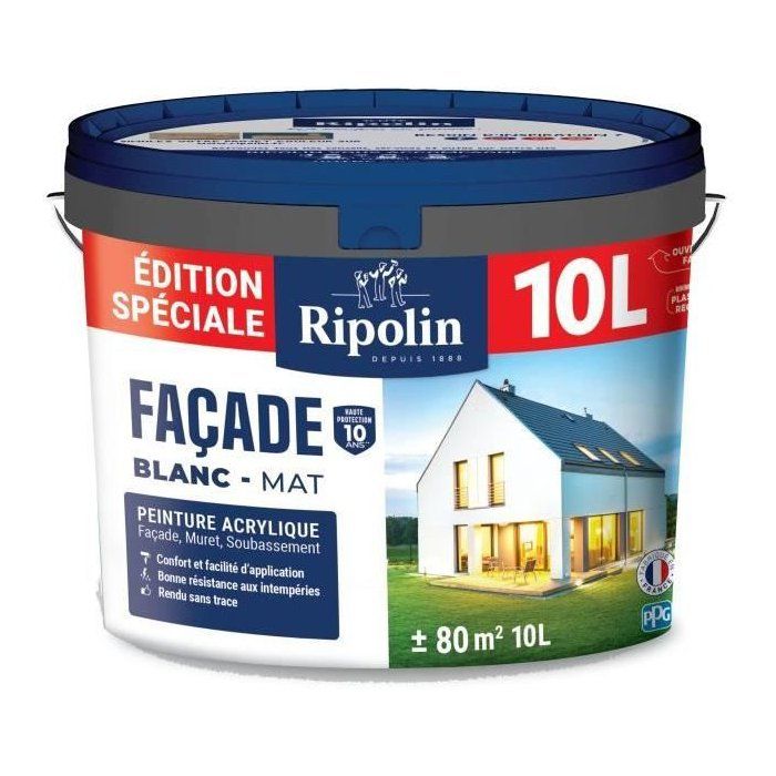 Special facade paint - RIPOLIN - White - Matte - 10 L