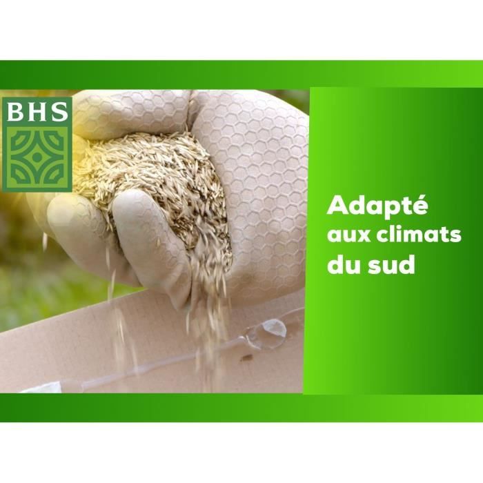 Image secondaire de Kikuyu - BHS - 300g | 25 m² | Zones méditerranéennes | Résistant aux fortes chaleurs et aux piétinements.