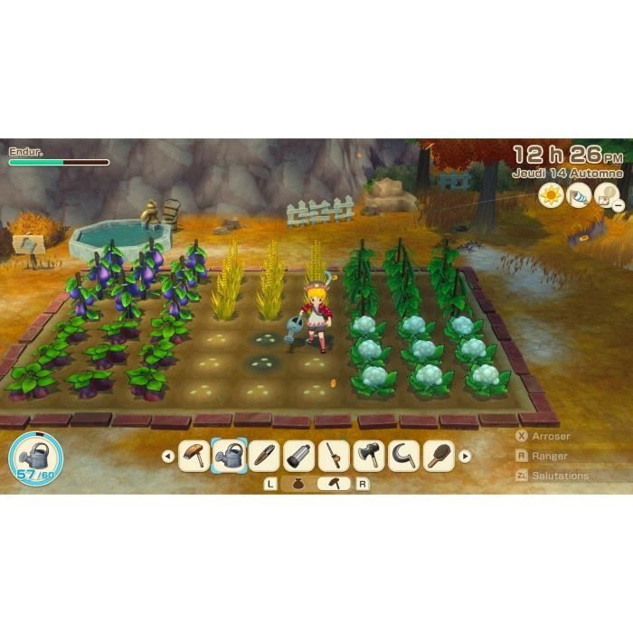 Image secondaire de Story of Seasons : Grand Bazaar - Jeu Nintendo Switch