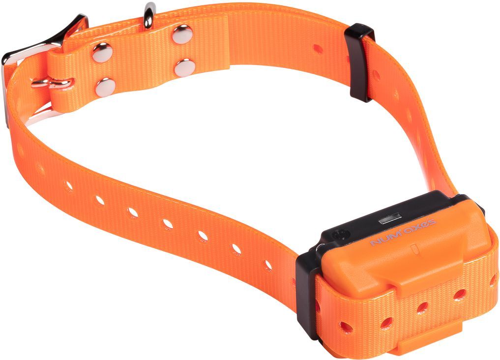 Collier de Dressage Rechargeable NUM'AXES CANICOM R - Orange