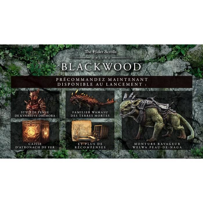 The Elder Scrolls Online : Blackwood Collection Jeu PS4