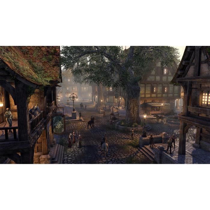 The Elder Scrolls Online : Blackwood Collection Jeu PS4