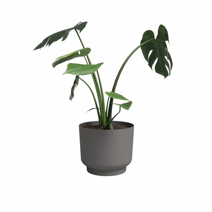 Image secondaire de Pot de Fleur Miami 30 cm Anthracite - ARTEVASI