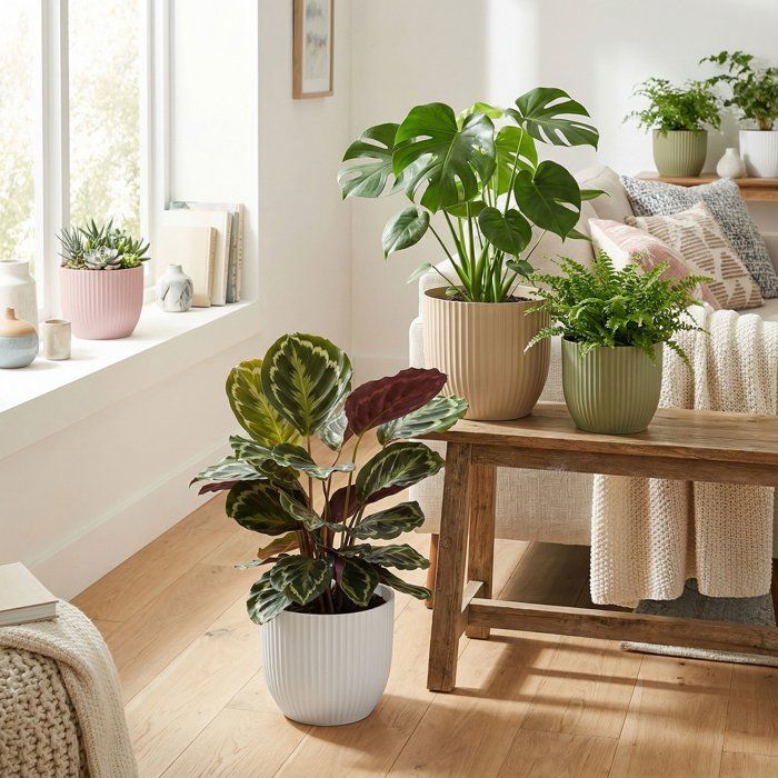 Image secondaire de Pot de Fleurs Rond Blanc 10L - DEROMA