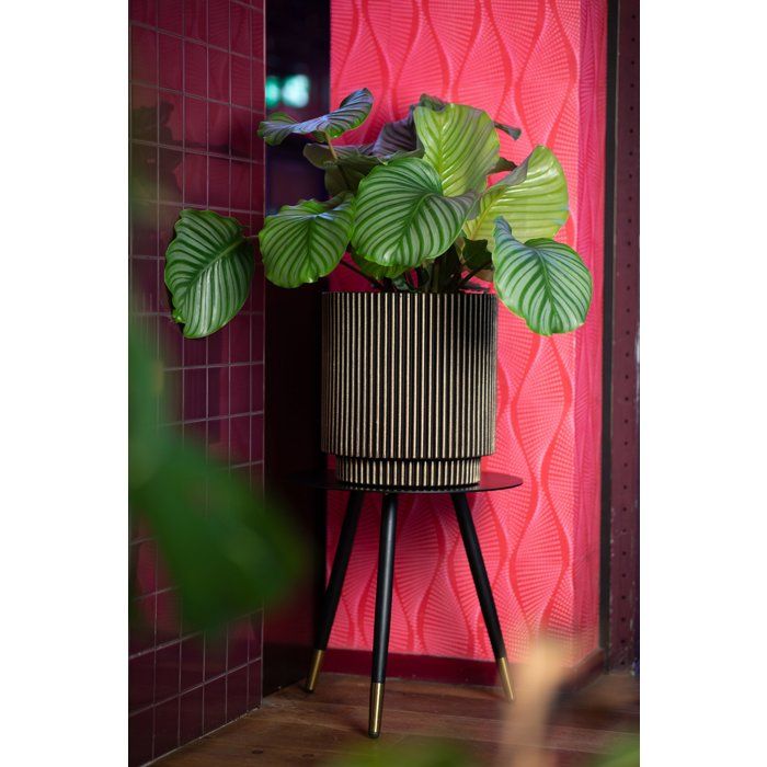 Image secondaire de Vase Cylindrique Groove NL Noir et Or - 36 x 38 cm