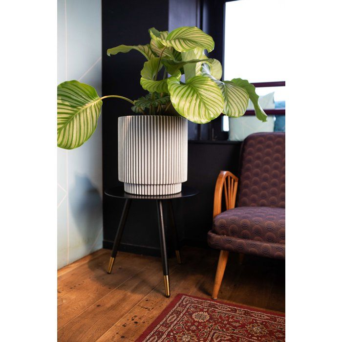 Image secondaire de Vase Cylindrique Groove NL en Ivoire - CAPI EUROPE