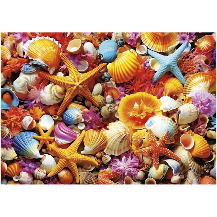 Image secondaire de Puzzle - EDUCA - Collage de Coquillages - 1000 pieces - 68x48 cm - a partir de 12 ans