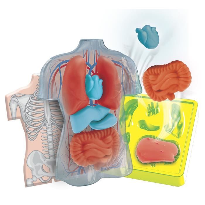 Image secondaire de Mini Labo d'anatomie CLEMENTONI