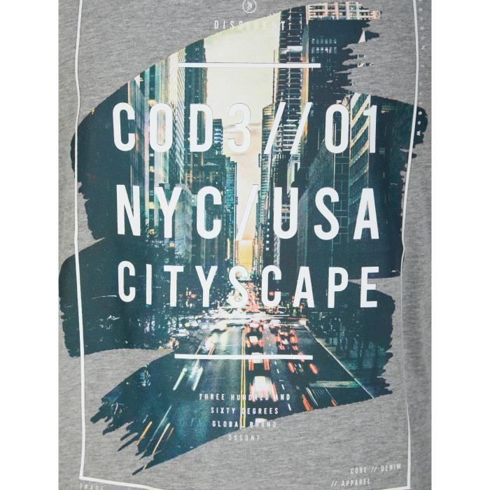 DISSIDENT T-Shirt City NYC USA Gris Homme