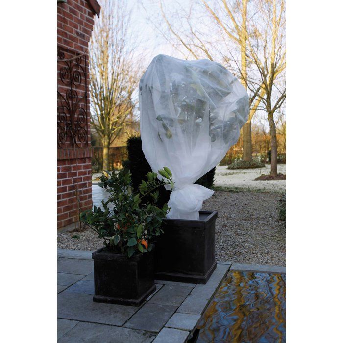 Image secondaire de Voile d'Hivernage Nature 5x2 m - Protection Plantes Blanc 30 g/m²