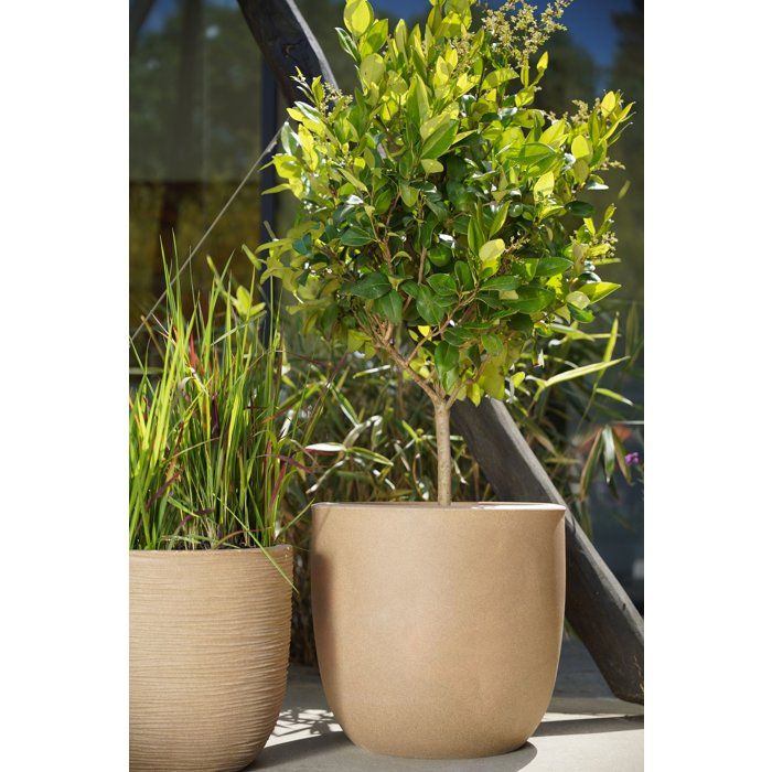 Image secondaire de Pot Boule Rib NL Beige 35 x 34 cm - CAPI EUROPE