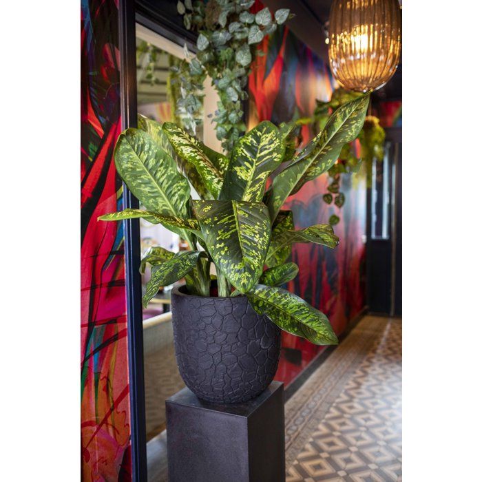 Image secondaire de Pot boule design Clay NL en noir - CAPI EUROPE