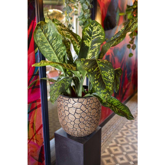 Image secondaire de Pot boule design Clay NL - CAPI EUROPE - 35 x 34 cm - Noir/or