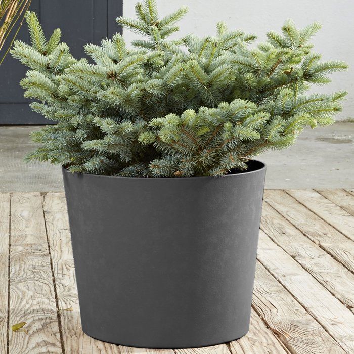 Image secondaire de Pot de Fleurs Conique 40 cm - EDA - Élément Gris Anthracite