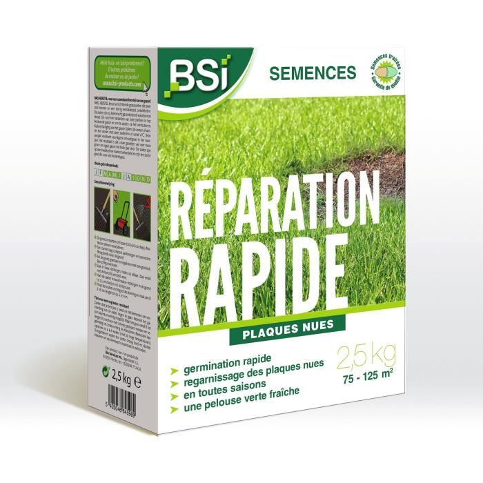 BSI - Semi d'erba - Riparazione rapida - Con rivestimento protettivo - Alta qualità - Fino a 125 m² - 2,5 kg
