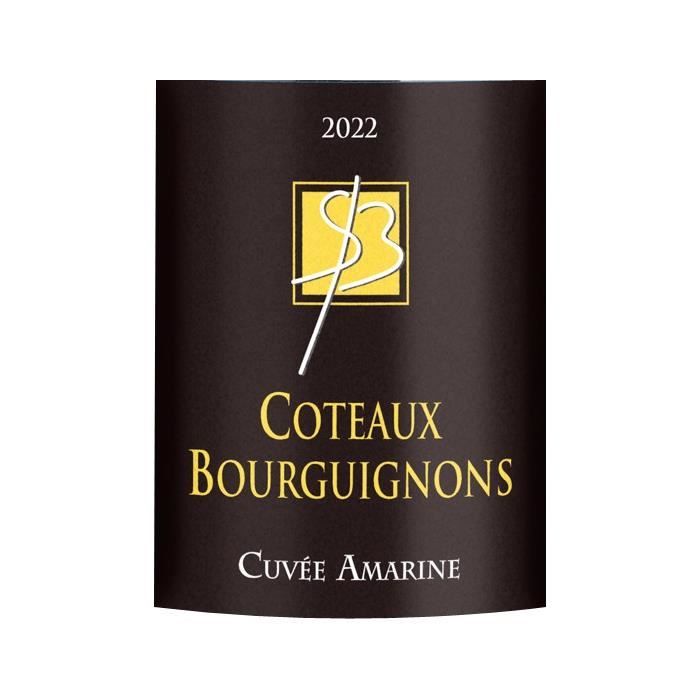 Château Closerie des Alisiers 2020 Coteaux-Bourguignons - Vin rouge de Bourgogne