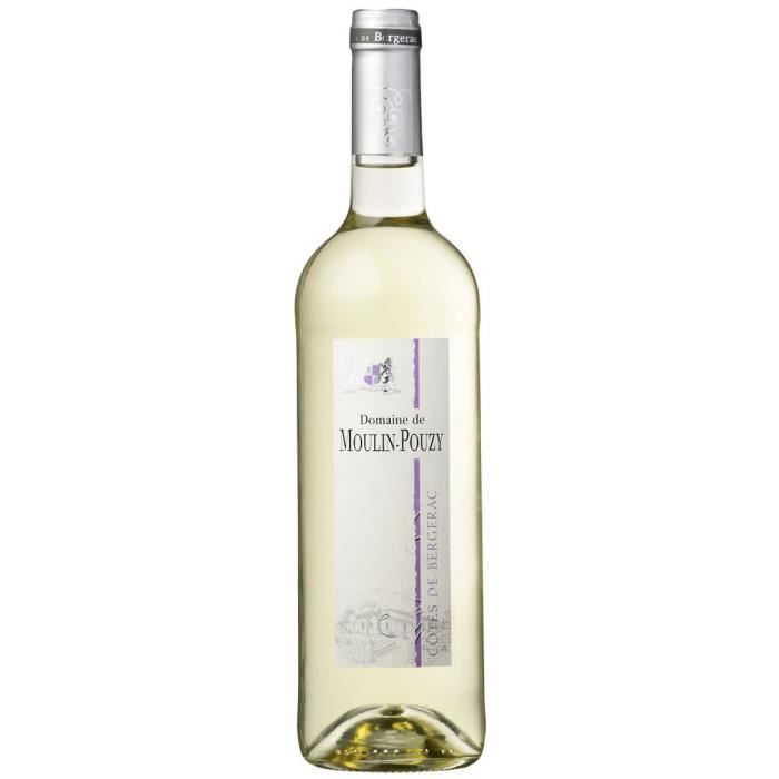 Domaine de Moulin-Pouzy Classique 2016 Côtes de Bergerac - Vin blanc du Sud-Ouest