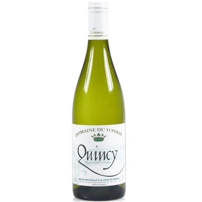 Domaine du Tonkin 2021 Quincy - Vin blanc de la Val de Loire
