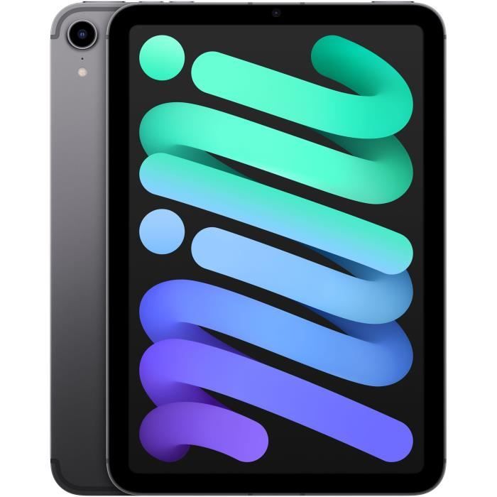 Apple - iPad mini (2021) - WiFi 8.3 + cellulare - 256 GB - grigio siderale