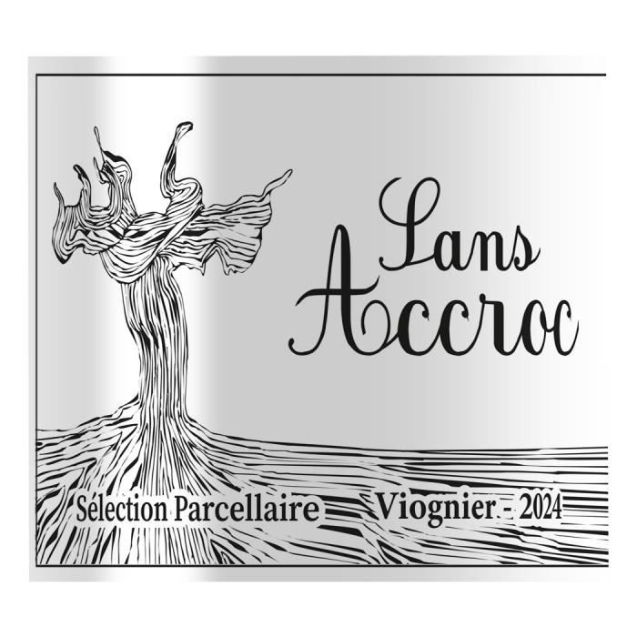 Image secondaire de Sans Accroc 2024 - Vin Blanc Viognier de la Vallée du Rhône