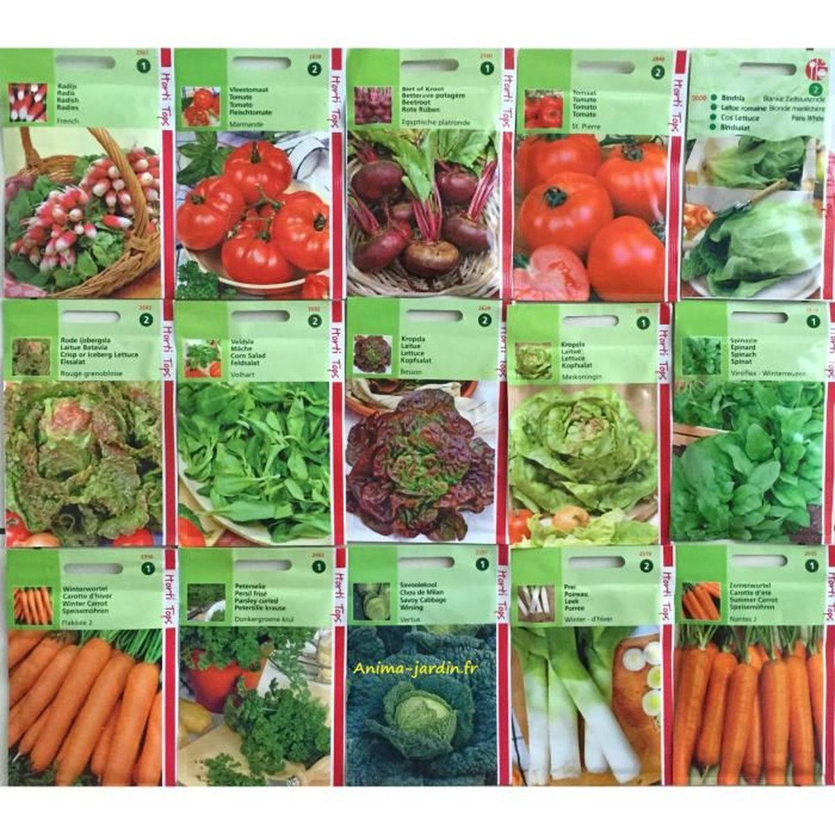 vente de graines de legumes vente de graines de legumes